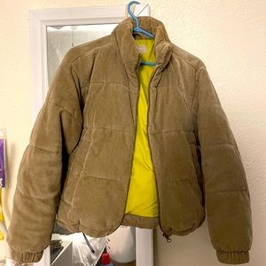 Everlane Corduroy Puffer Jacket